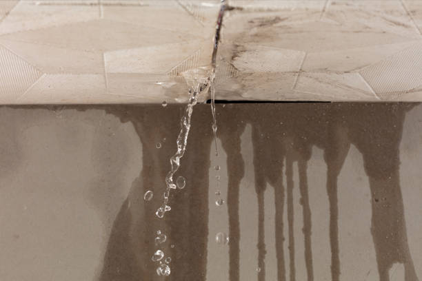 Professional Sewage Cleanup technician working in Lorton, VA